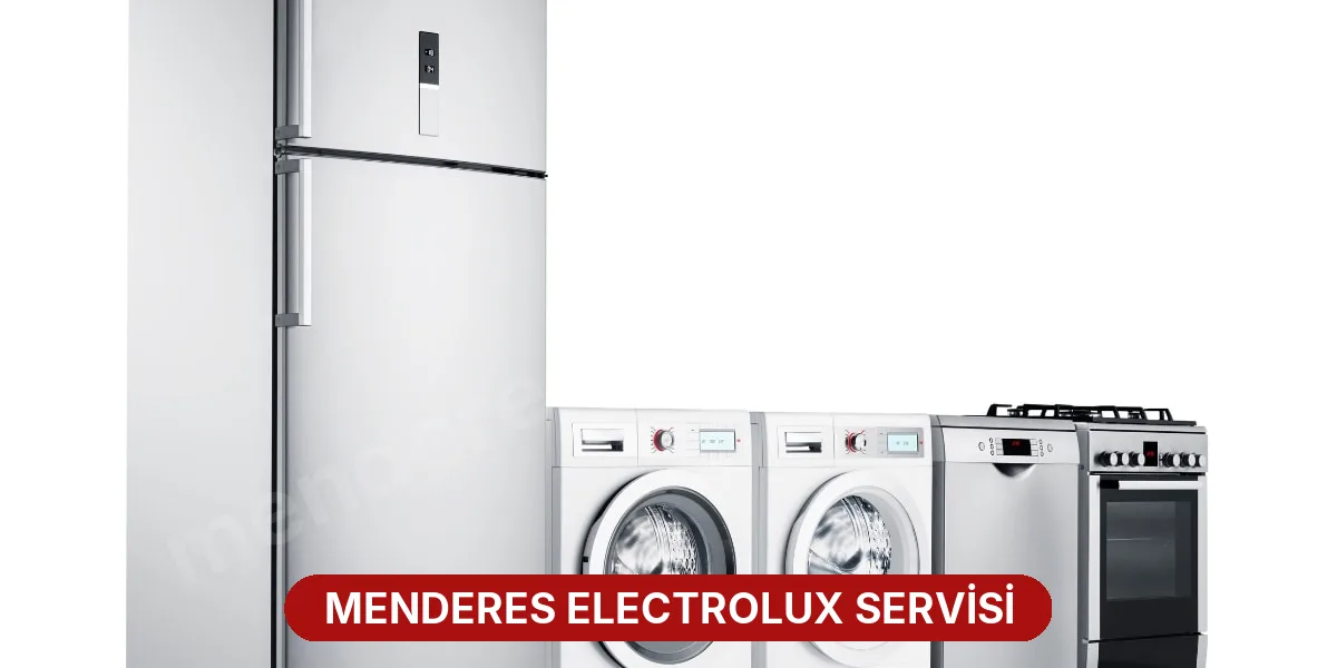 Menderes Electrolux Servisi