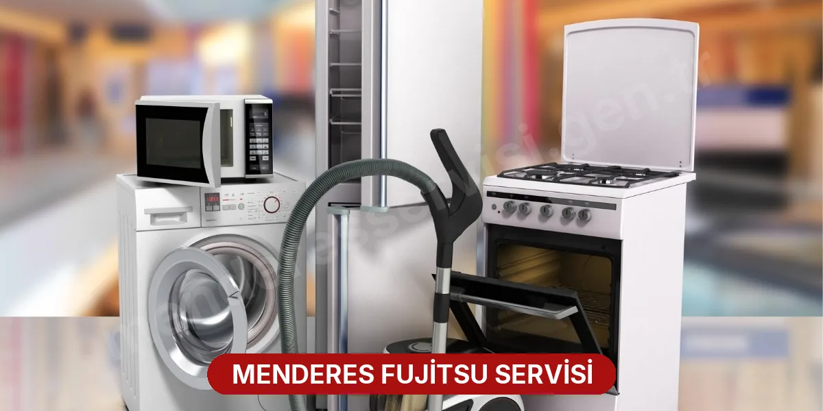 Menderes Fujitsu Servisi