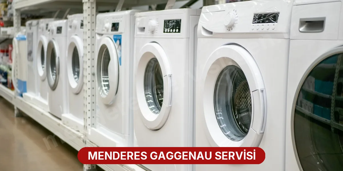Menderes Gaggenau Servisi