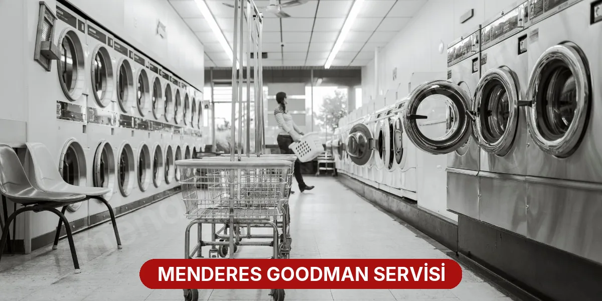 Menderes Goodman Servisi