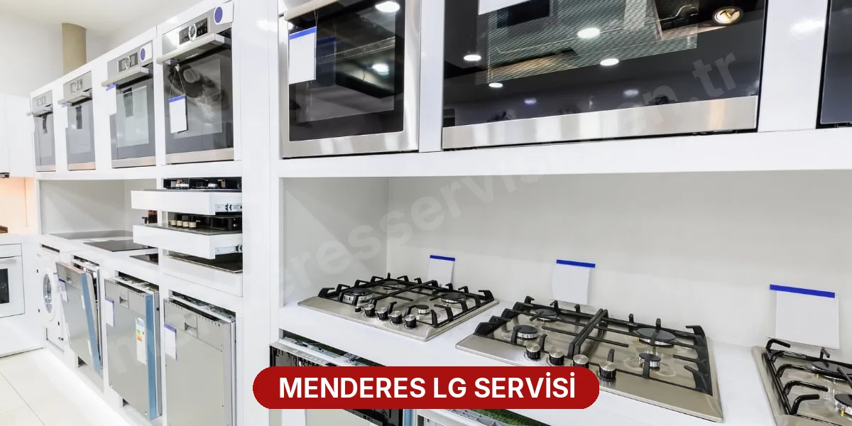 Menderes LG Servisi