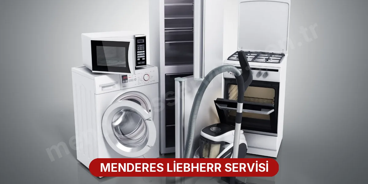 Menderes Liebherr Servisi