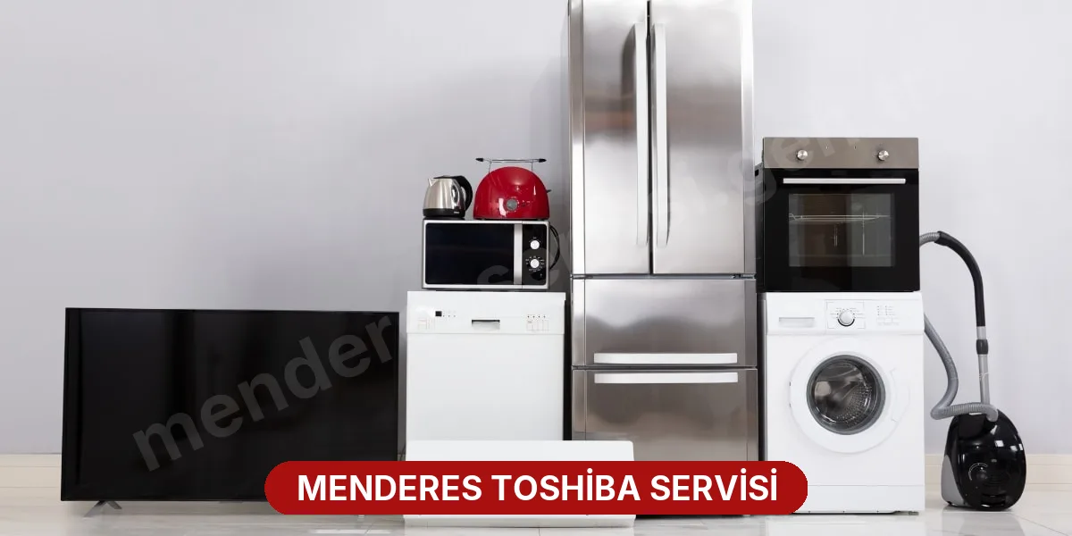 Menderes Toshiba Servisi